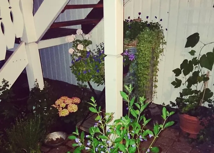 Apartmán Cozy Centrally Located In The Middle Of The *
