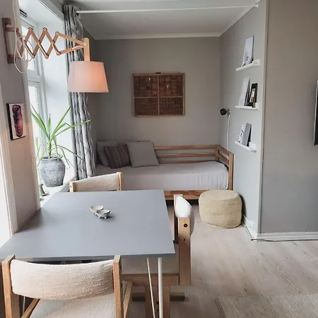 Cozy Centrally Located In The Middle Of The فردريكسْتاد