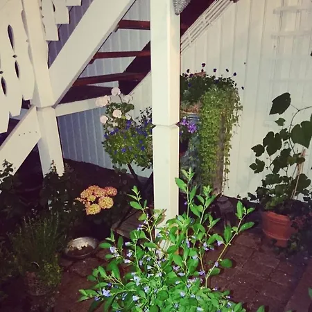 Appartement Cozy Centrally Located In The Middle Of The *